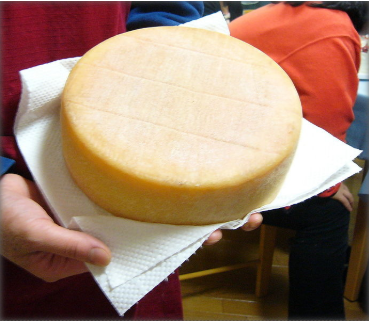 Washed Rind Cheese
